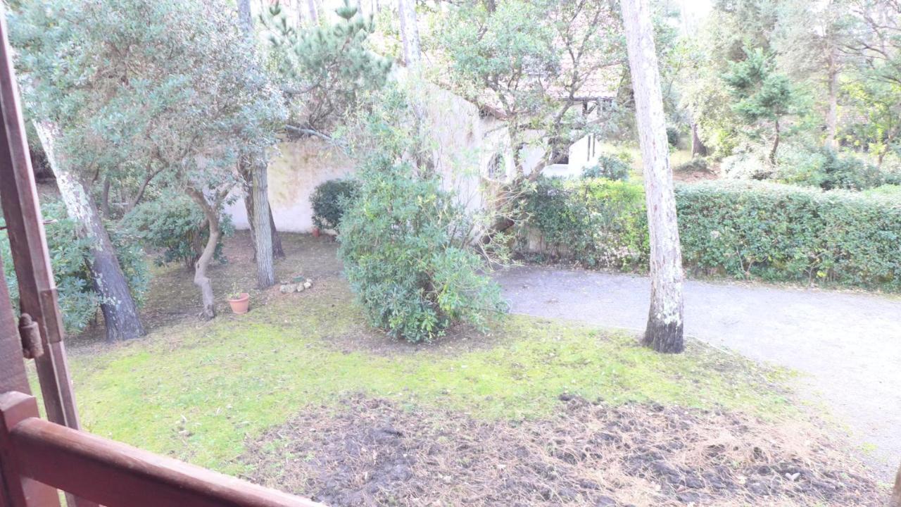 Ref 141 ,Seignosse Les Bourdaines , Villa Bouharde Classee 3 Etoiles, A 600 M Plage, 10 Personnes Eksteriør bilde